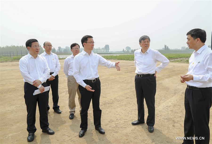 Un vice-Premier ministre appelle à un développement de haute qualité de la Nouvelle Zone de Xiongan