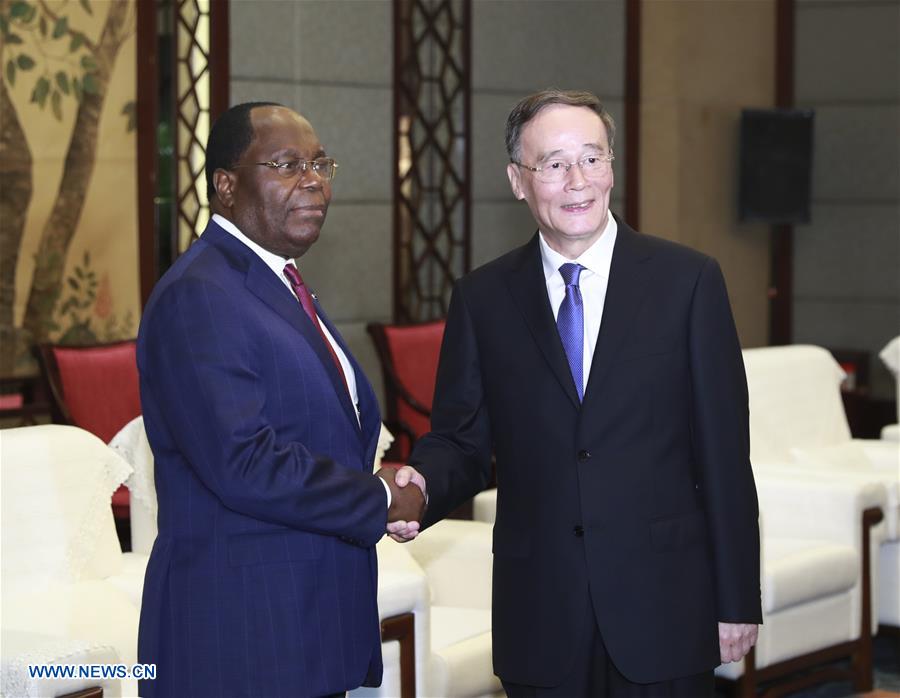 Le vice-président chinois appelle à des relations plus étroites entre la Chine et l'Afrique