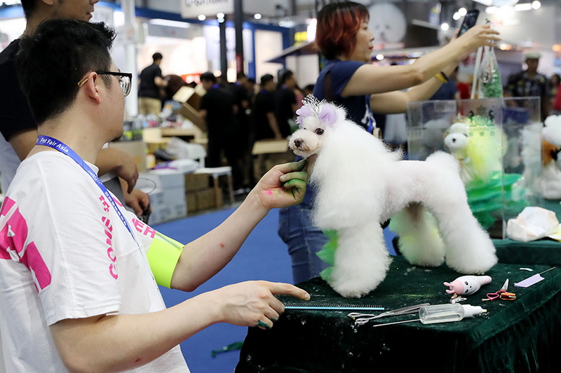 Ouverture du Salon des animaux de compagnie à Shanghai