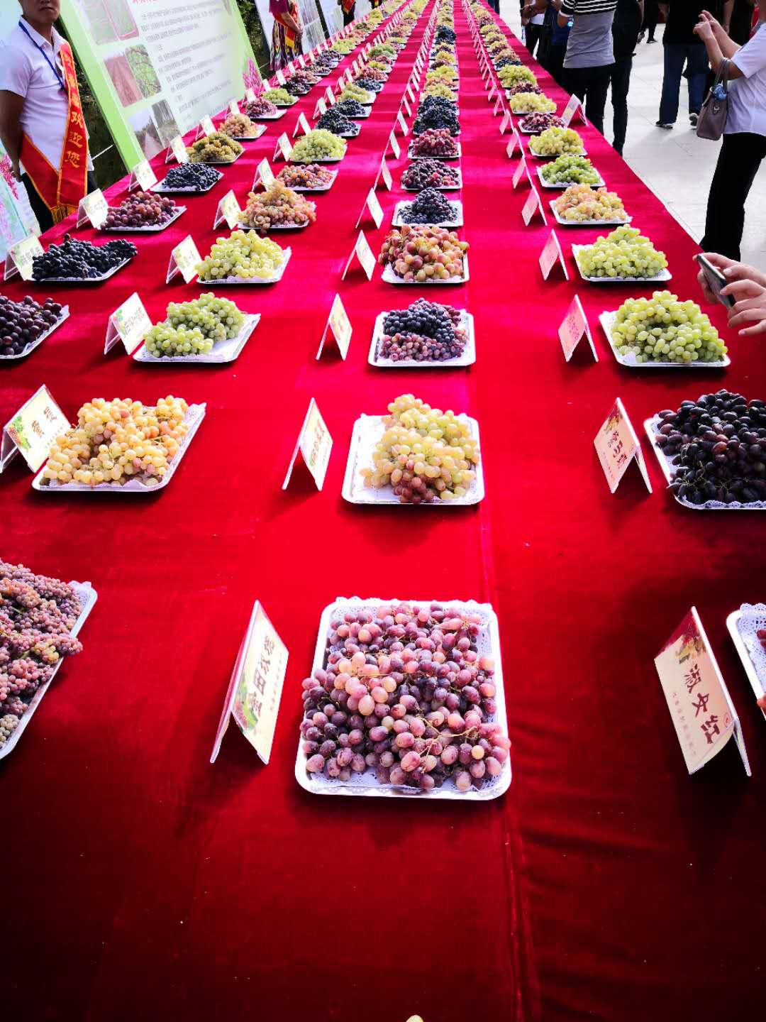 La fête des raisins revient à Tourfan