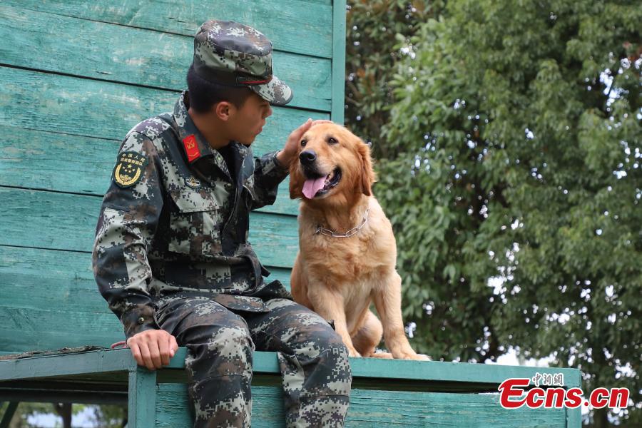 Il est toujours difficile de dire au revoir à un chien policier