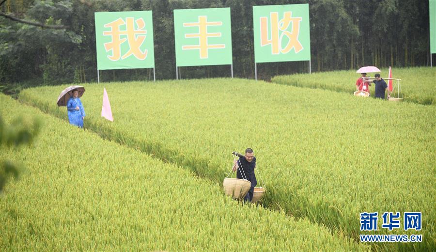 La Chine va créer une fête nationale célébrant les contributions des agriculteurs