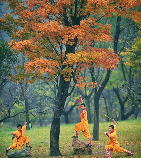 Paysages d'automne au Temple de Shaolin
