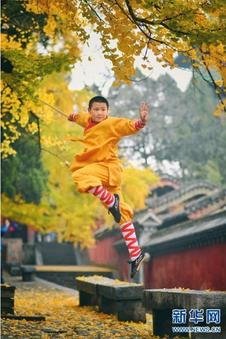 Paysages d'automne au Temple de Shaolin