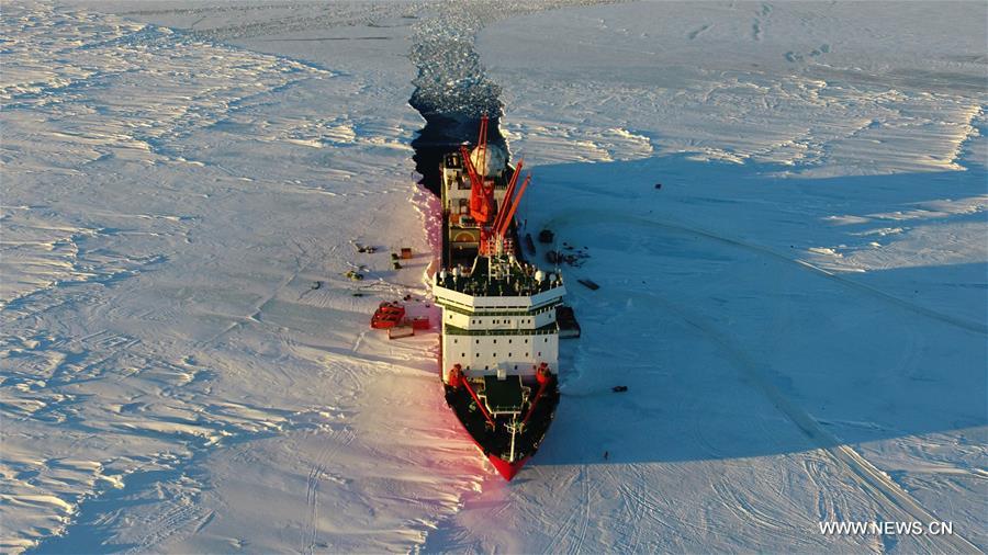 Opération de déchargement de matériel du brise-glace chinois Xuelong en Antarctique