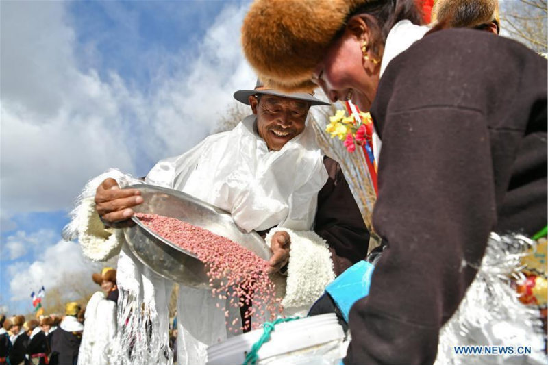 Tibet : une cérémonie pour marquer les débuts des labours de printemps