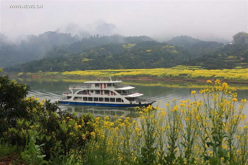 Paysage de la rivière Xin'an dans l'Anhui