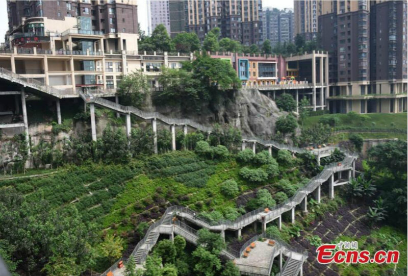 Chongqing : à la découverte d'un sentier d'une hauteur de 100 mètres dans une ville de montagne