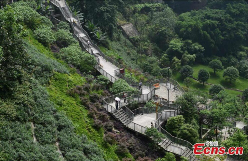 Chongqing : à la découverte d'un sentier d'une hauteur de 100 mètres dans une ville de montagne