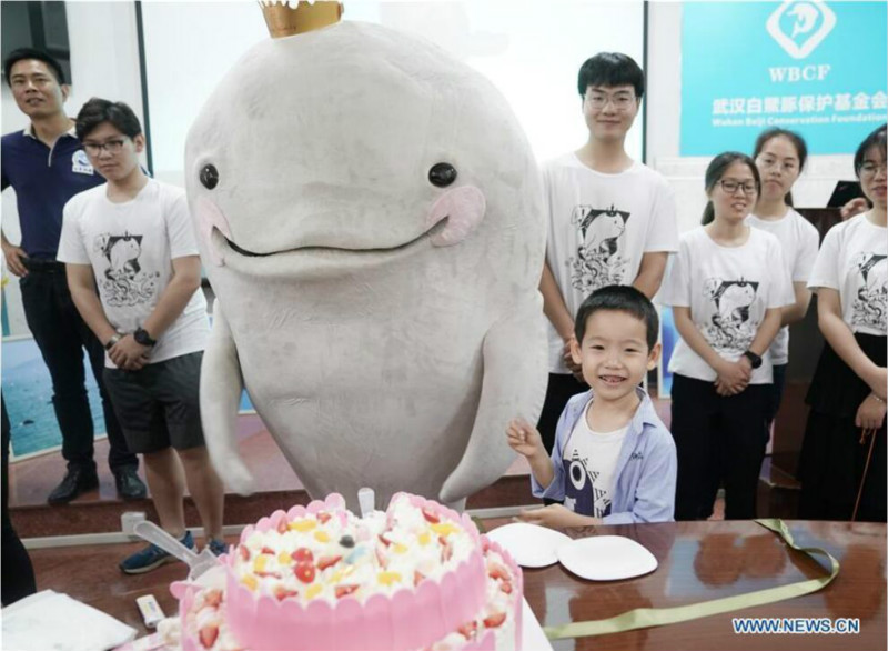 Wuhan : un marsouin aptère célèbre son premier anniversaire 