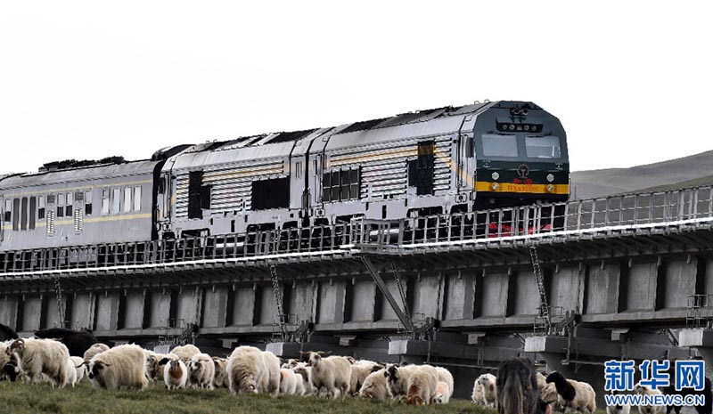 Comment le train « Route Céleste » a apporté de gros bénéfices au Tibet