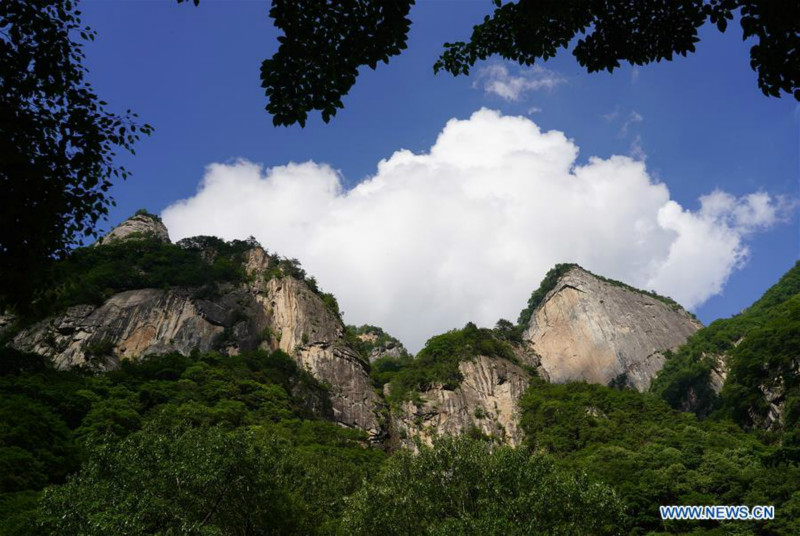 Chine: paysage d'un parc forestier au Shaanxi 