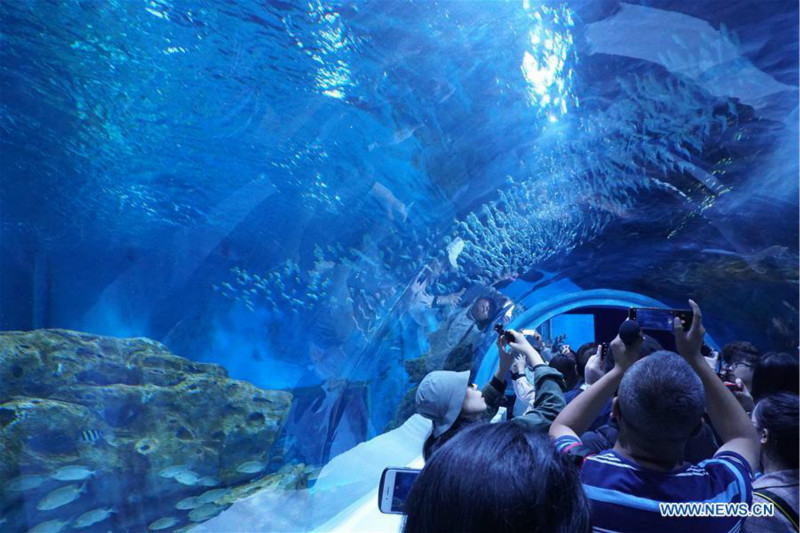 Chine : début des essais du plus haut aquarium du monde au Qinghai