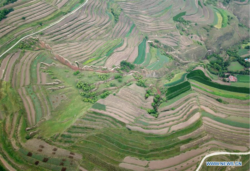 Chine: paysage de champs en terrasses au Gansu