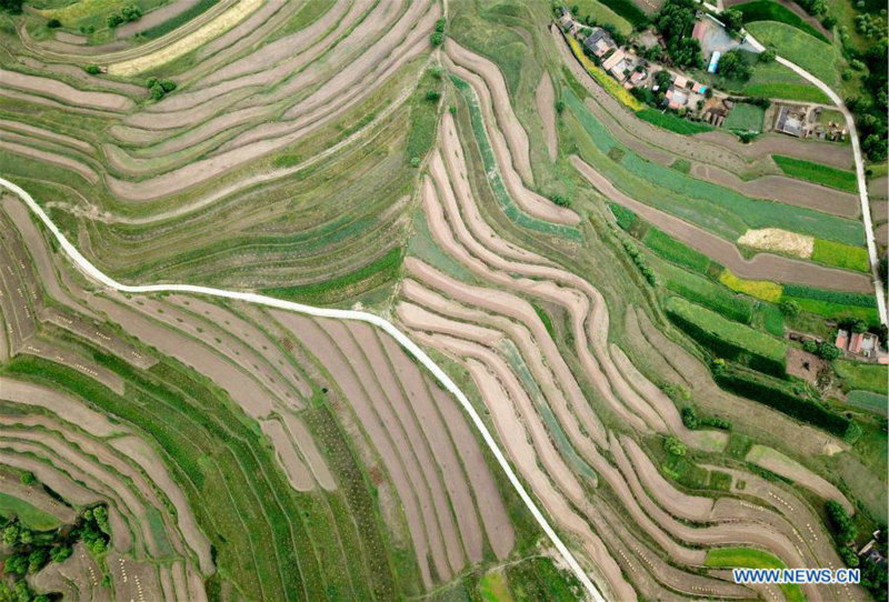 Chine: paysage de champs en terrasses au Gansu