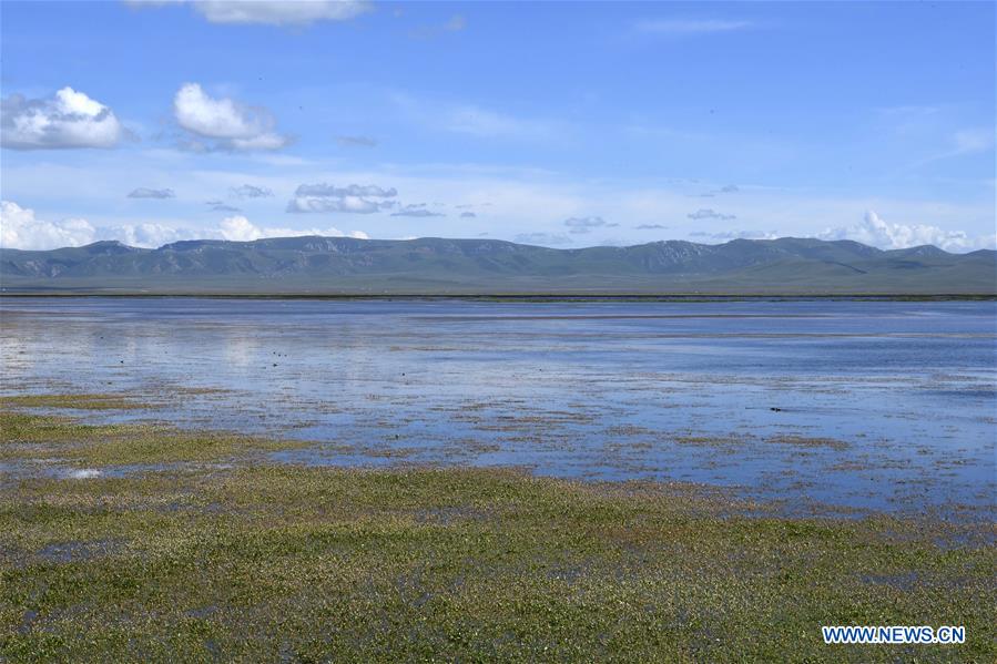 Chine : progrès écologiques dans la région du lac Gahai