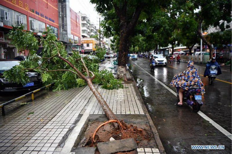 Le typhon Wipha touche terre pour la deuxième fois dans le sud de la Chine
