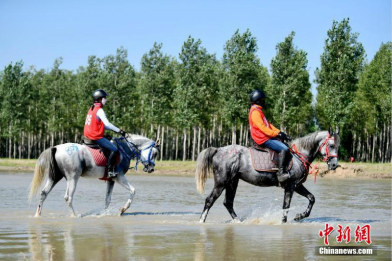 Concours d'endurance équestres organisés dans le nord-est de la Chine
