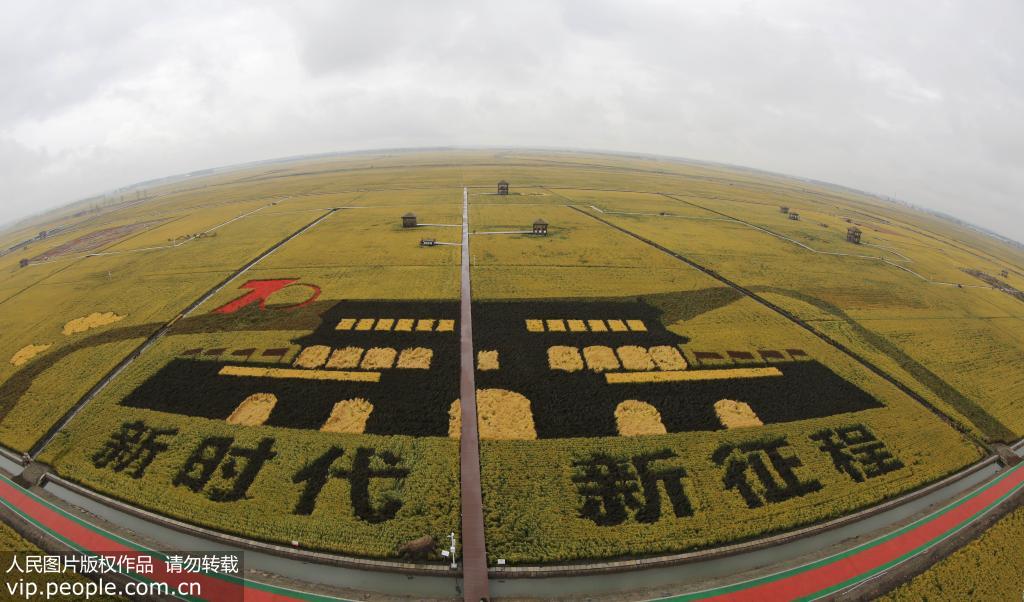 Des rizières transformées en œuvres d'art dans la province du Heilongjiang