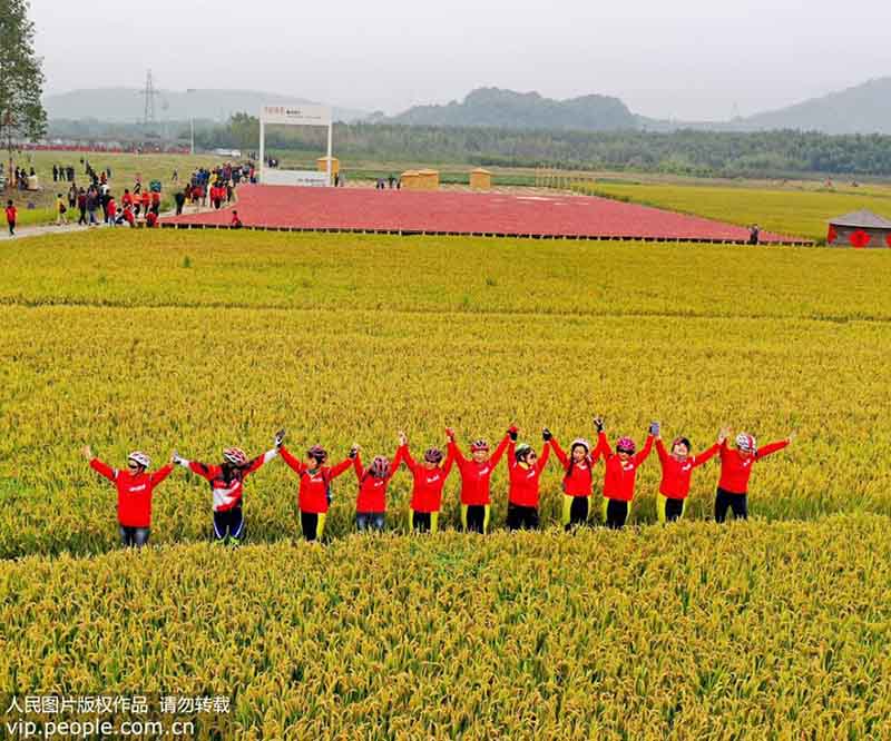 Xicun dans le sud de la province de l'Anhui : une scène aux champs