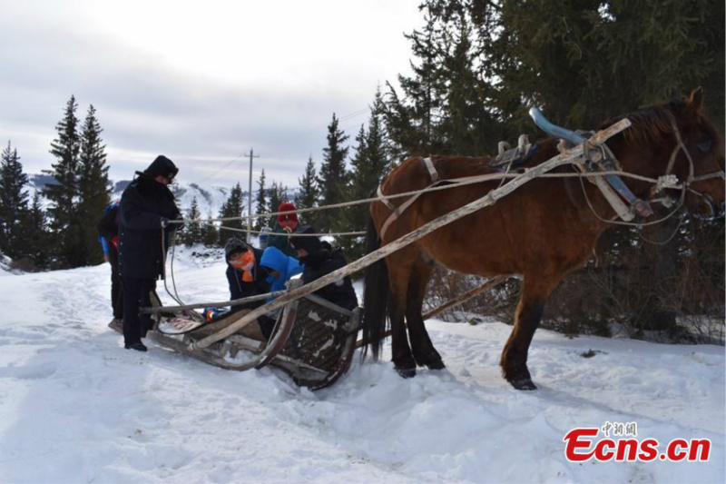 Dans le Xinjiang, un traîneau tiré par un cheval aide les élèves à aller et revenir de l'école