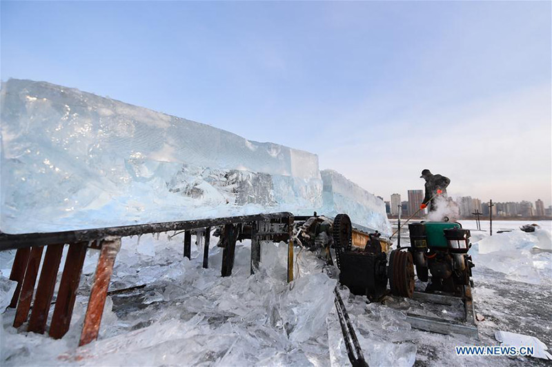 Heilongjiang : la collecte des cubes de glace dans la Rivière Songhua gelée
