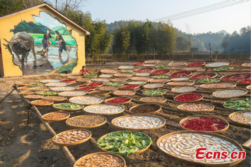 Jiangxi : des villageois sèchent des légumes au soleil
