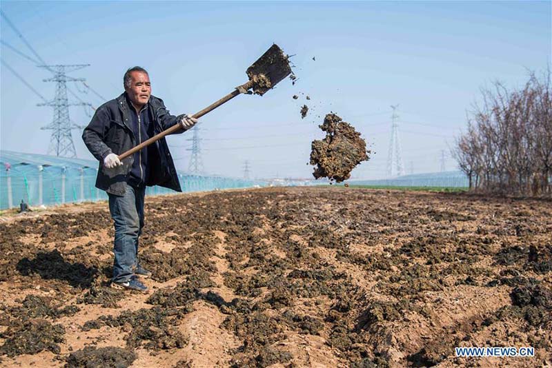 En photos : les travaux agricoles de printemps à travers la Chine