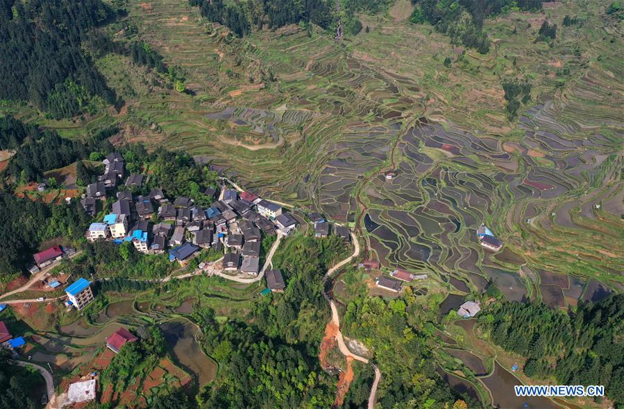Champs en terrasses dans le sud de la Chine