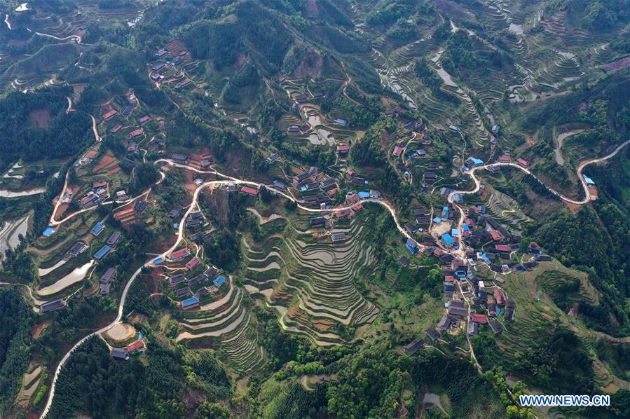Champs en terrasses dans le sud de la Chine
