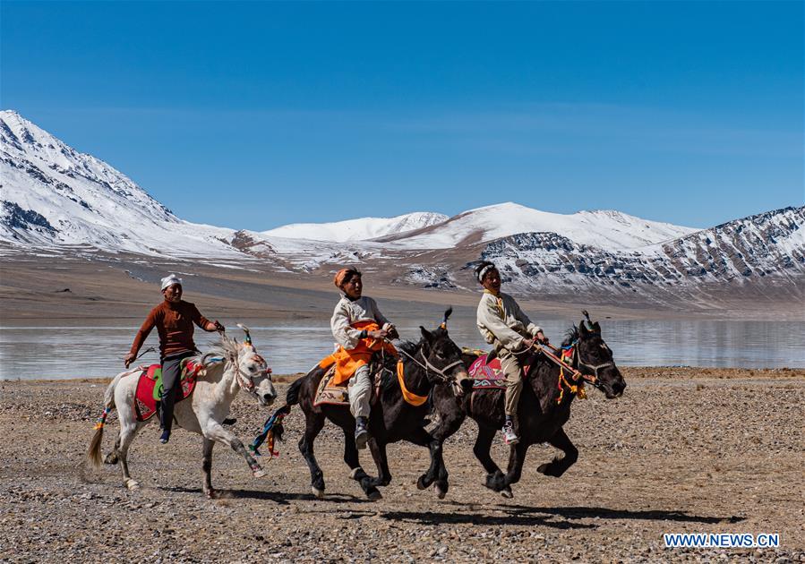 Chine : cérémonie du début du labour de printemps au Tibet
