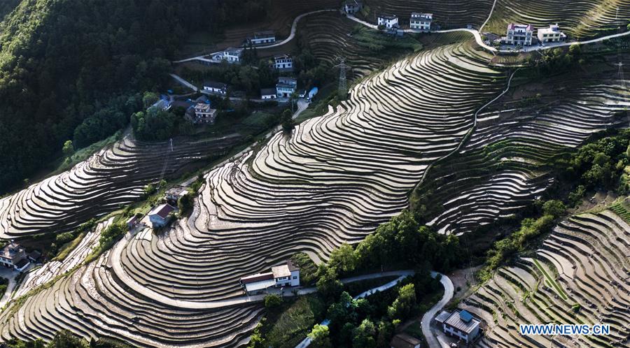 Champs en terrasses dans le nord-ouest de la Chine