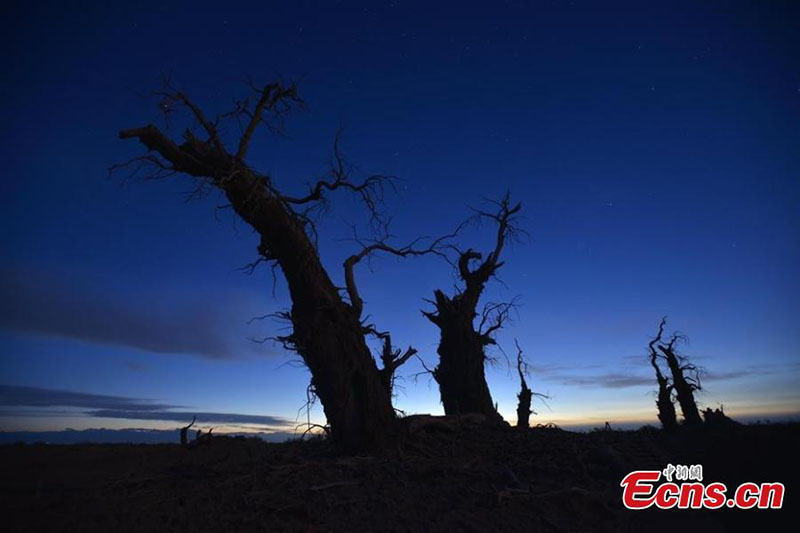 La nuit étoilée paisible dans le bassin du Tarim au Xinjiang