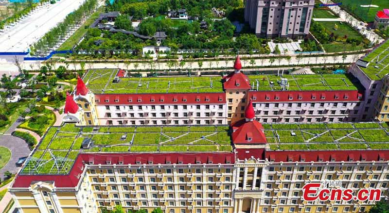 En images : des jardins sur le toit installés dans une école à Zhengzhou