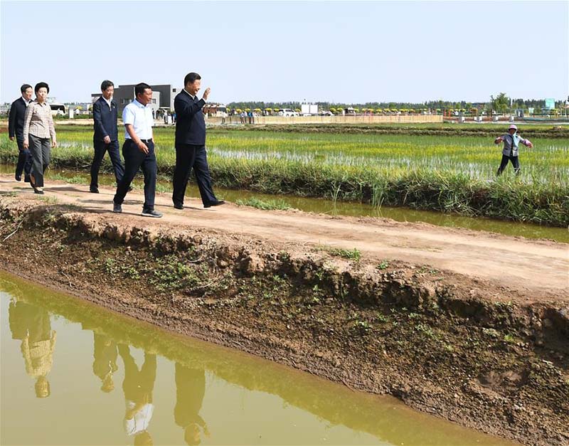 Xi Jinping met l'accent sur le développement de l'agriculture économisant l'eau