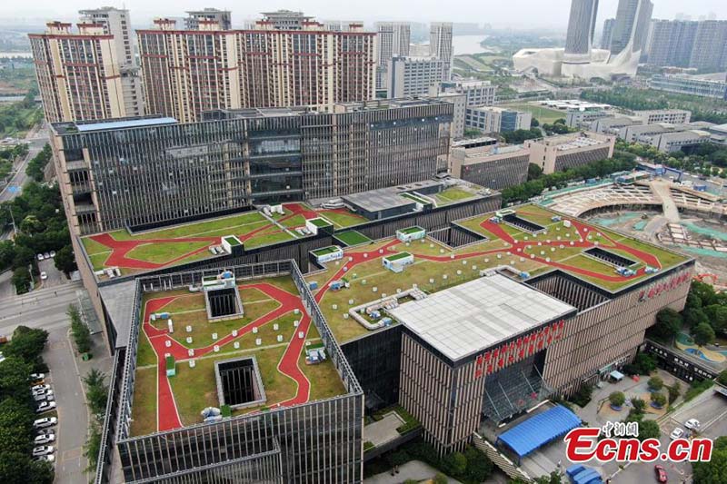 Les jardins sur les toits offrent plus qu'un simple paysage
