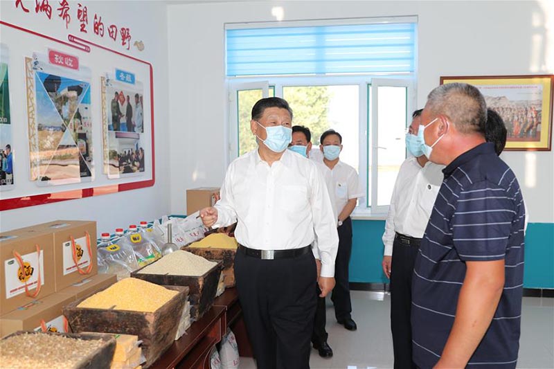 Xi Jinping encourage le développement des coopératives d'agriculteurs selon les conditions locales