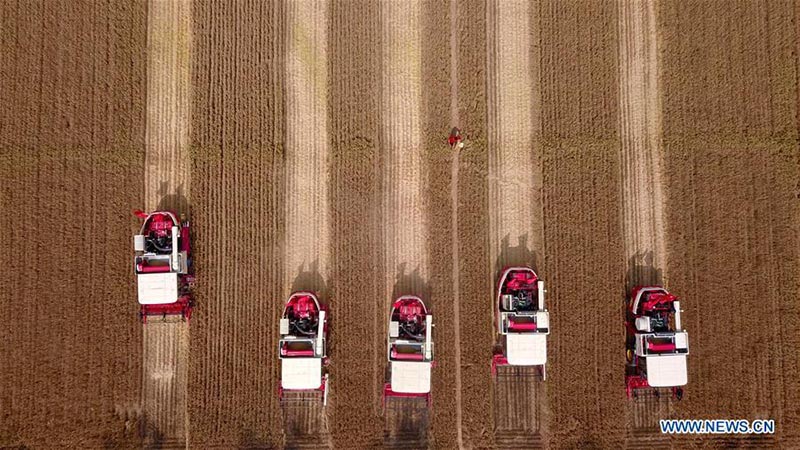 La Fête des récoltes des agriculteurs de Chine coïncide avec l'équinoxe d'automne
