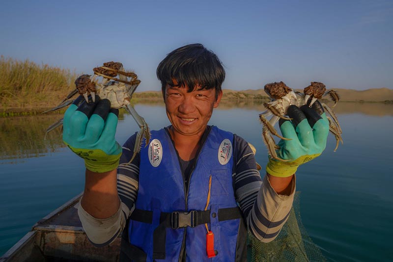 Un attrapeur de crabes habile du Xinjiang, dans le nord-ouest de la Chine