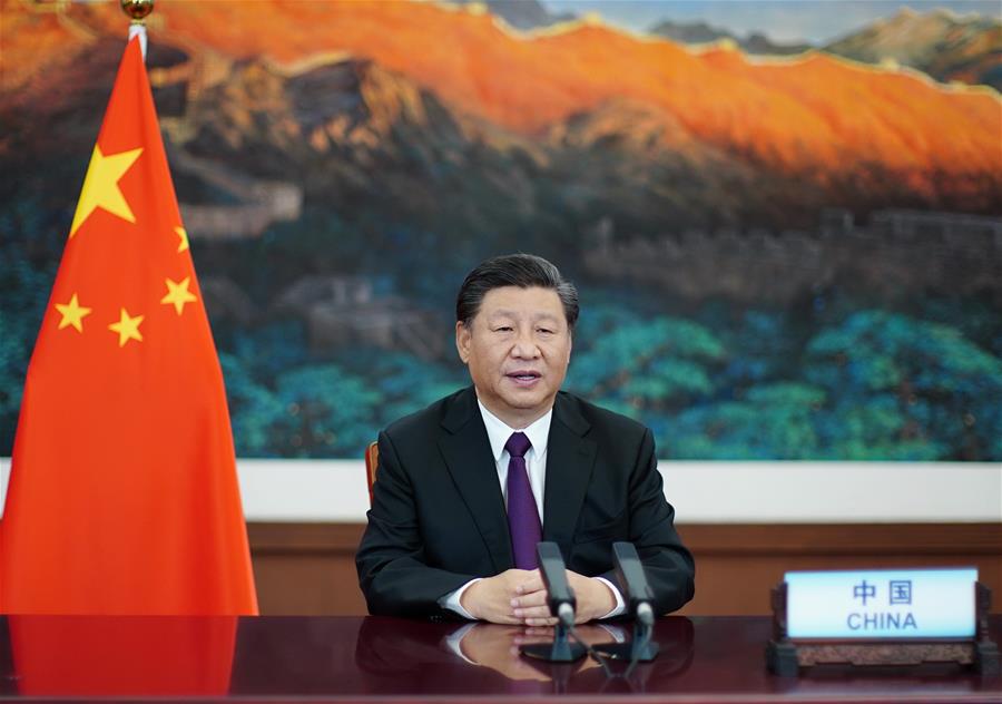 Le président Xi appelle à inverser efficacement la perte de biodiversité