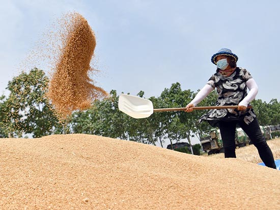 La Chine assurera la sécurité alimentaire à tout prix