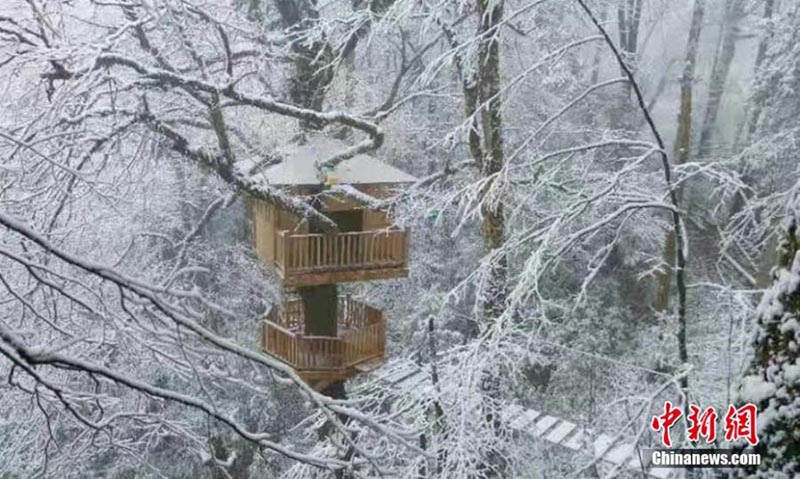 Sichuan : un paysage magnifique d'hiver apparaît avec les premières neiges à Ya'an