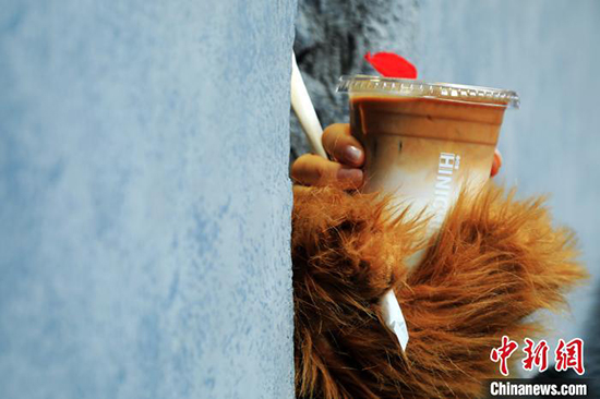 L'histoire émouvante derrière le café « patte d'ours » qui fait actuellement fureur à Shanghai