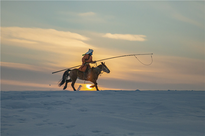 En Mongolie intérieure, l'exercice de cerclage des chevaux garde les animaux en forme