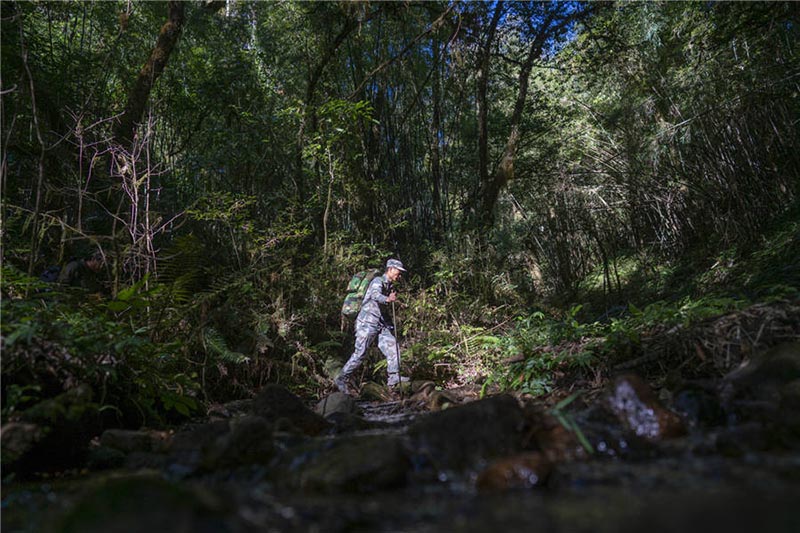 Les patrouilleurs aident à préserver l'aspect sauvage de la vie dans le Yunnan