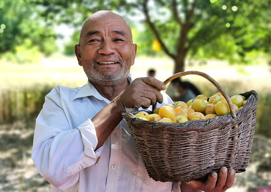 Comment la plantation d'arbres fruitiers contribue à la prospérité d'Aksu au Xinjiang