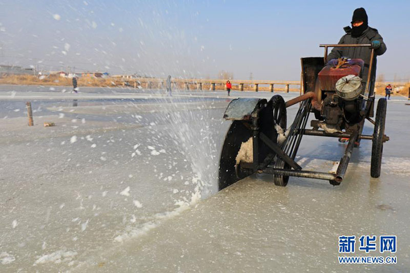 Hebei : les agriculteurs collectent de la glace pour les bateaux de pêche