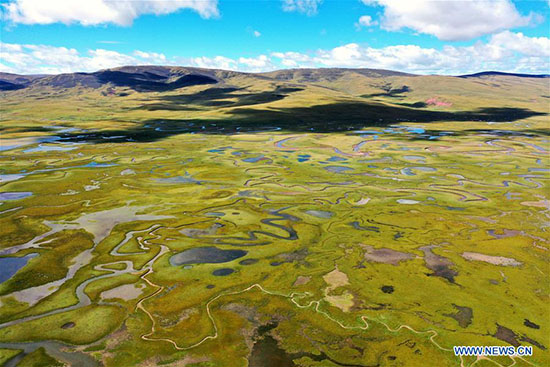 Près de la moitié des terres du Tibet sont incluses dans des zones de protection écologique