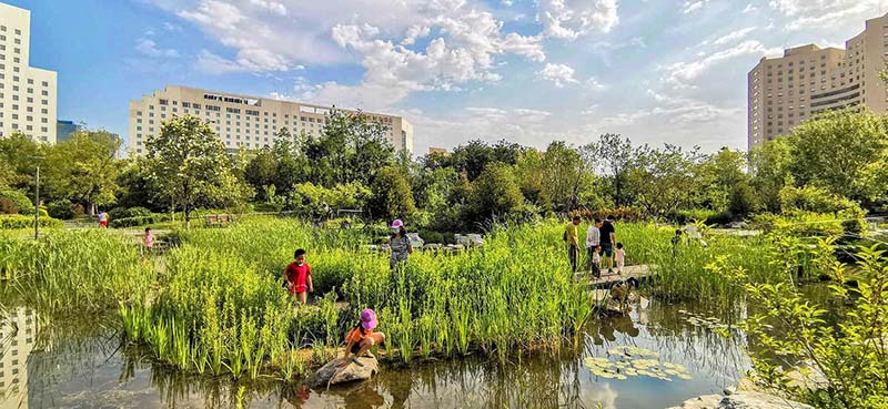 La restauration des zones humides à Beijing va recevoir une nouvelle impulsion