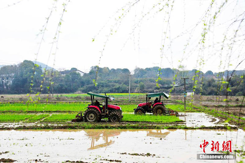 Les travaux agricoles du printemps ont commencé dans le sud de la Chine, des photos aériennes montrent des champs pleins de vie